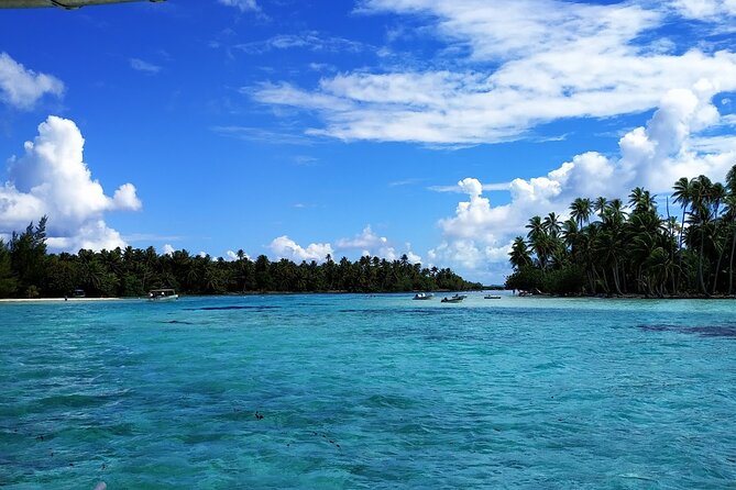1/2 day Tahaa coral garden - departure Raiatea / ideal for cruise passengers - Getting to the start on Raiatea, then sailing to Tahaa