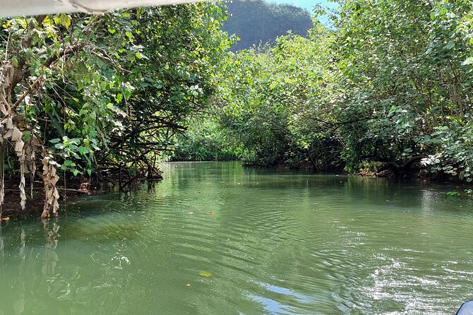 1/2 day "Treasures of Raiatea" by boat - ideal for cruise passengers - Key Highlights You’ll Feel From the Start