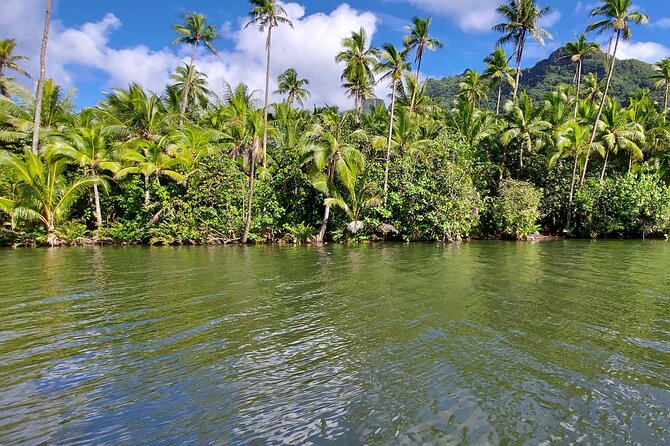 1/2 day "Treasures of Raiatea" by boat - ideal for cruise passengers - Why This Half-Day Boat Tour Works for Cruise Schedules