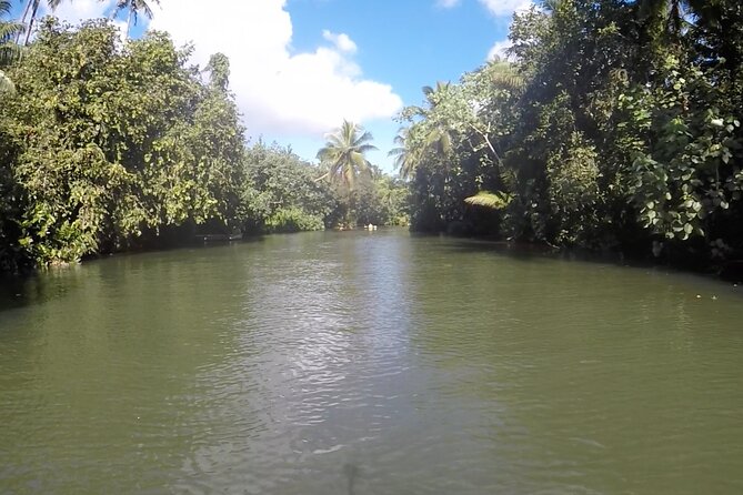 1/2 day "Treasures of Raiatea" by boat - ideal for cruise passengers - The Lagoon Ride Back to Raiatea, Where Sightings Happen