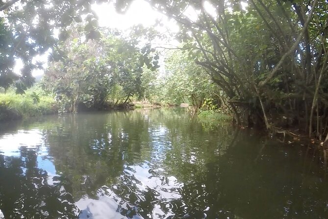 1/2 day "Treasures of Raiatea" by boat - ideal for cruise passengers - What You Get, What You Don’t, and Whether the Price Fits