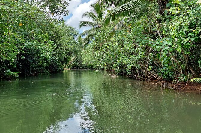 1/2 day "Treasures of Raiatea" by boat - ideal for cruise passengers - Who This Tour Suits Best (and Who Should Skip It)