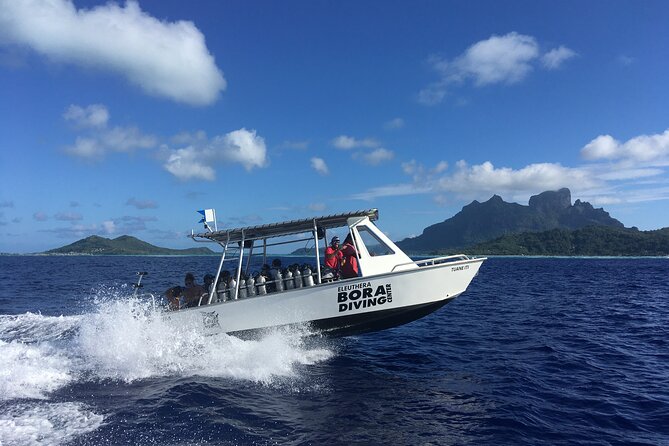 1 Afternoon Dive for Certified Divers in Bora Bora - Gear provided, plus what Nitrox coverage really means
