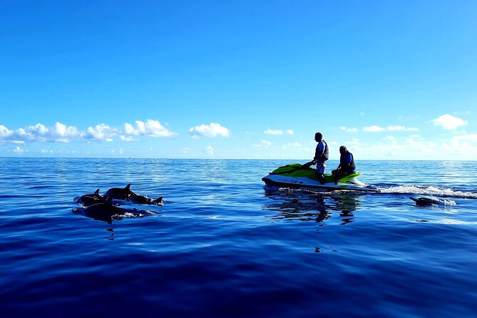 1-hour jet ski excursion in Tahiti - Price and Value: The Part You Should Double-Check