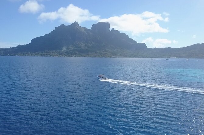 2 Dives in the morning for certified divers in Bora Bora - Between Tanks: Tea, Cookies, and the Practical Break You Actually Need
