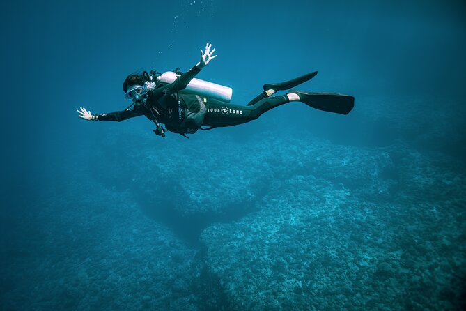 2 Dives in the morning for certified divers in Bora Bora - Price and Value at $235.69 Per Person