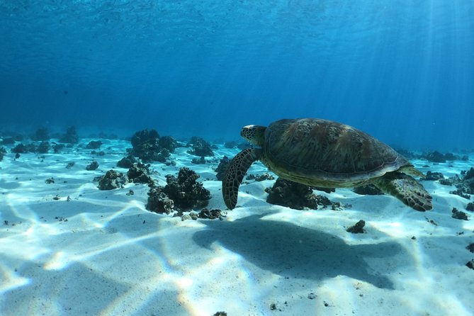 2 hours discovery tour of Moorea by Jet Ski - Staff, photos, and small extras that make the experience feel finished