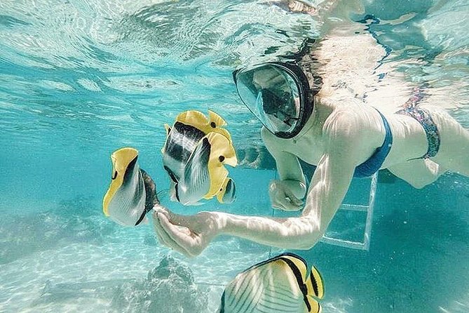 3-hour Lagoon Snorkeling Tour - Shared Tour - Key highlights I’d plan around