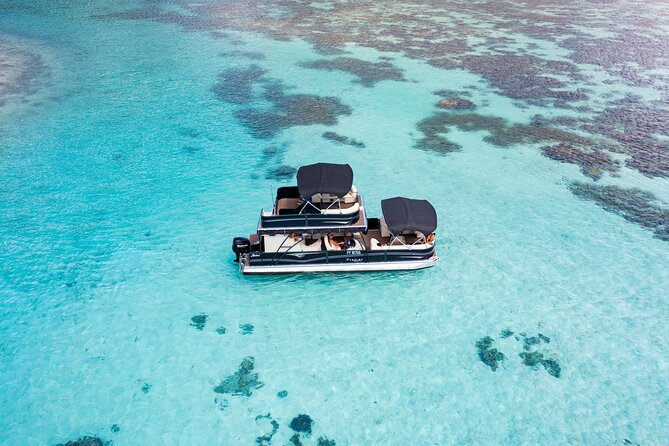 3-Hour Snorkeling Tour - Price and value for a 3-hour Moorea snorkeling tour