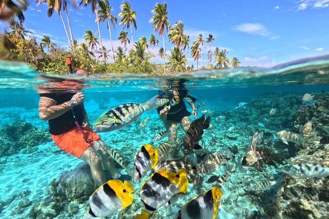 3H Adventure in JET SKI Snorkeling and Tahaa Lagoon - Quick hits