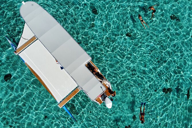 3H Adventure in JET SKI Snorkeling and Tahaa Lagoon - The black-tip shark moment: how it is supervised and how to stay calm