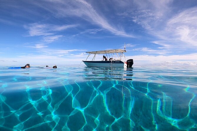 3h dolphin and snorkeling tour in a wild lagoon with Mobydick - Paea and Mara’a Lagoon: Why This Area Feels Quieter