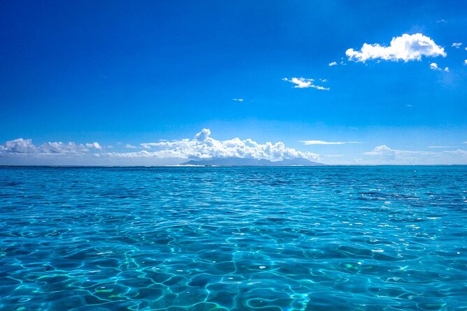 3h dolphin and snorkeling tour in a wild lagoon with Mobydick - Timing, Season, and Weather Reality in Tahiti