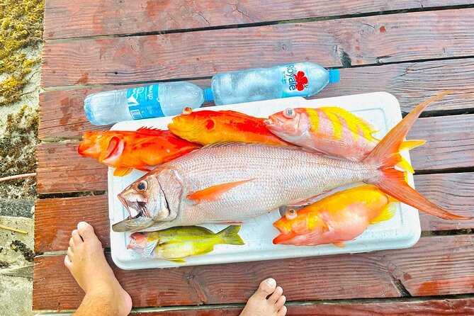 4 Hour Ariki Fishing Activity in Moorea - Ariki Nui Sport Fishing in Moorea, the real reason it works