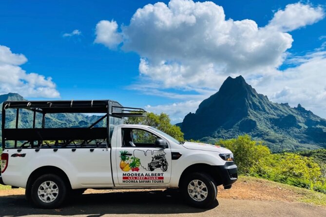 4 Hour Ariki Fishing Activity in Moorea - Who should book this Ariki Nui trip (and who might want to skip)