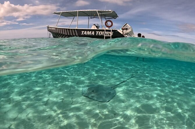 4 Hour Private Humpback Whales Encounter in Moorea - What you will do on the water: search, observe, and listen for whale signals