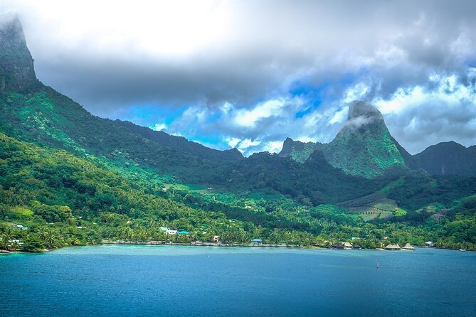 4 Hour Private Humpback Whales Encounter in Moorea - TAMA Tours Moorea and the bilingual guide experience