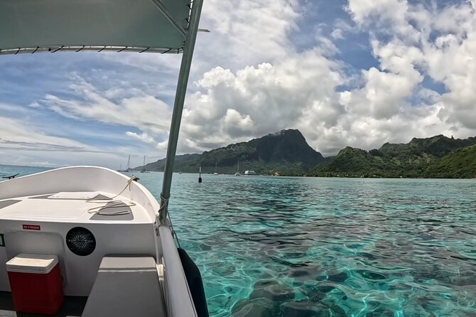 4 Hour Private Humpback Whales Encounter in Moorea - Price and value: what $1,639.76 for up to 6 people really buys you