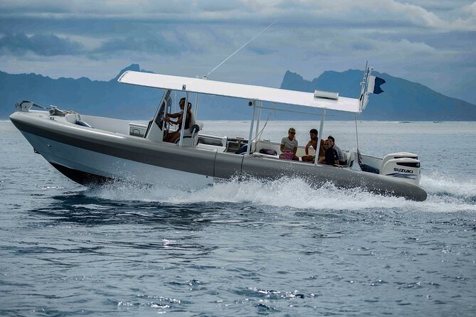4 Hours of Humpback Whale Watching in Tahiti - Snorkeling in Tahiti: When You Might Get In, When You Stay Seated