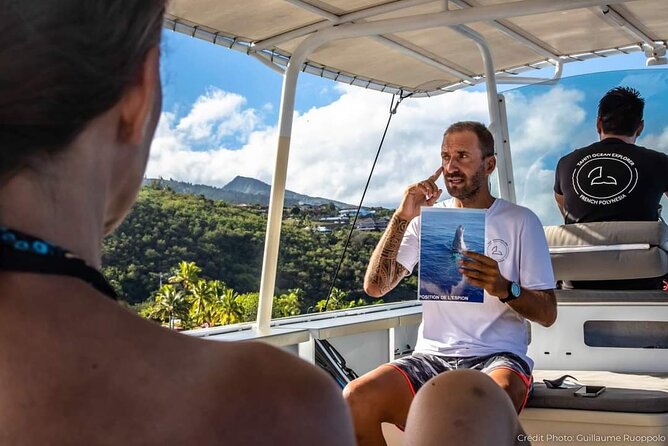4 Hours of Humpback Whale Watching in Tahiti - Comfort, Timing, and Logistics That Affect Your Day