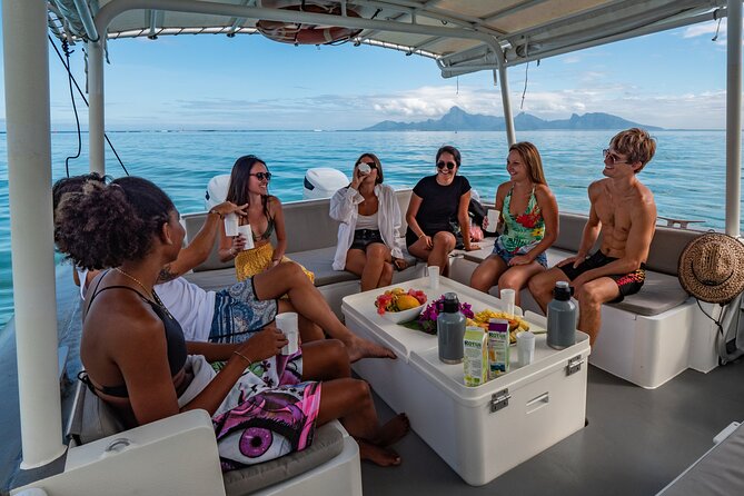 4 Hours of Humpback Whale Watching in Tahiti - Who Should Book This Tour, and Who Might Want a Different Option