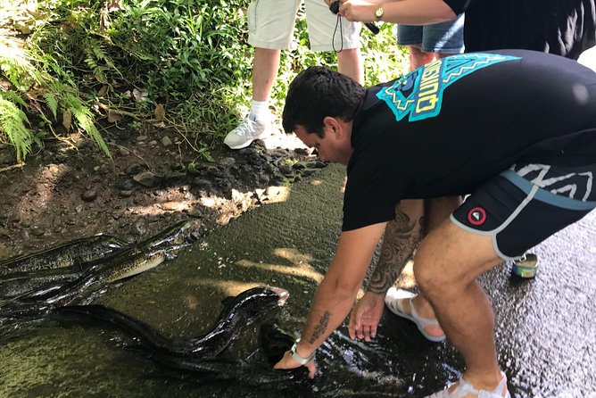 4x4 Moorea Safari Tours : With Hotel transfers - Key things to look forward to on this Moorea safari