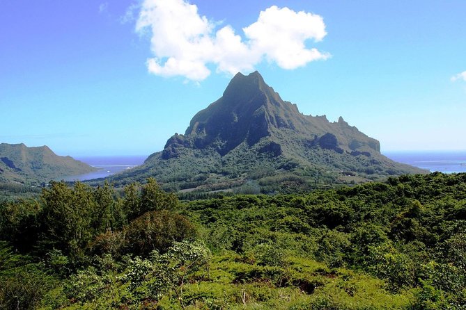4x4 Moorea Safari Tours : With Hotel transfers - More than the stops: the eel feeding, rivers, and the culture talk