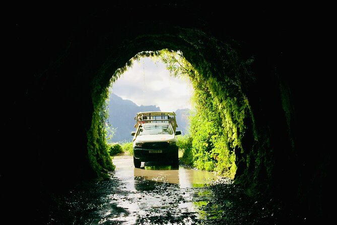 4x4 Safari HEREAKIMANU Tour in the Heart of Tahiti - Leonie, Tere, Manua, and Temaeva: guides who turn the ride into a story
