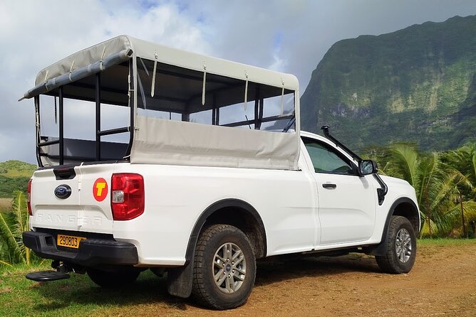 4x4 Tour - Culture, Crafts and Agritourism in Raiatea - Tastings From the Island: Fruits, Juices, and Honey