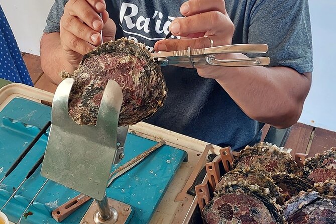 4x4 Tour – Culture, Crafts and Agritourism in Raiatea - Uturoa Meeting Point and Small-Group Timing: The Real Comfort Factor