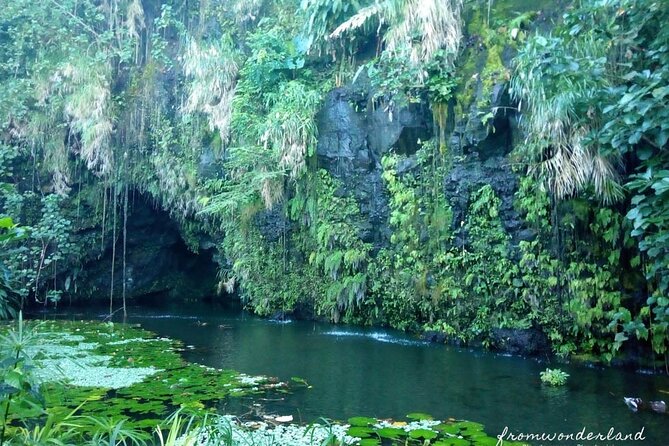 5 Hours Tahiti Island Tour - West and East Coast - What’s included, what’s not, and what to bring