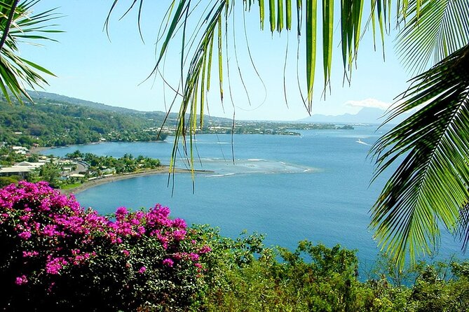 5 Hours Tahiti Island Tour - West and East Coast - Price and value: what you get for $79 per person