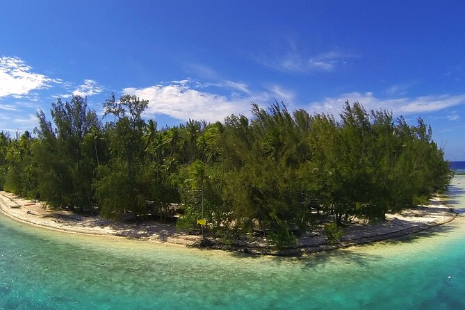 6 Hour Private Boat Activity with Snorkeling & Lunch - Lunch with lagoon views: Coco Beach, Kaywest Moorea, or Taoahere Beach House