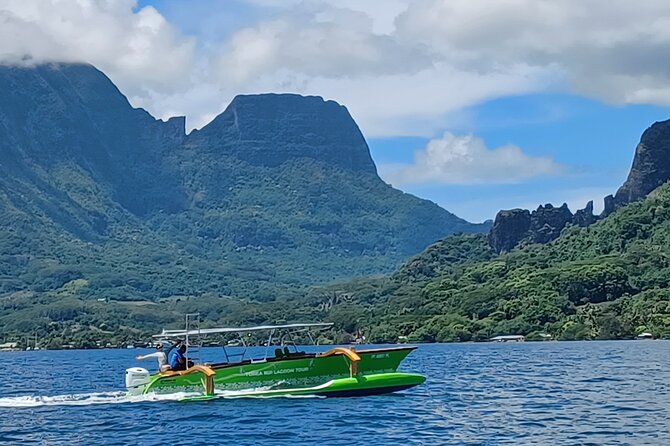 Activity/Excursion Lagoon Tour to Moorea by Canoe 6 hours - Animal spotting stops: rays, blacktip sharks, sea turtle, and what you should expect