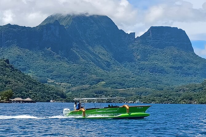 Activity/Excursion Lagoon Tour to Moorea by Canoe 6 hours - Coral garden time: fish and coral without the pressure