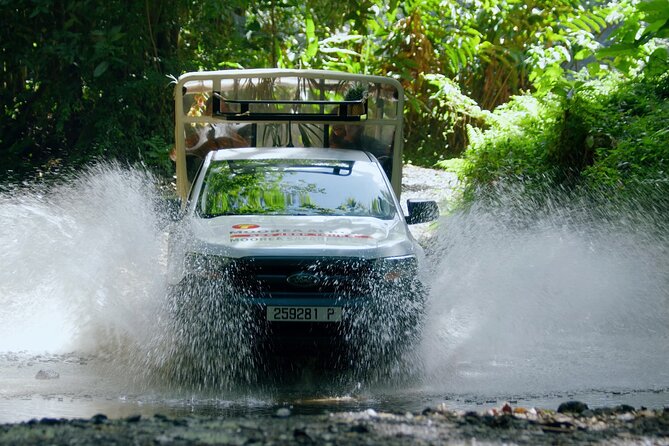 ALBERT TOURS: Excursion 4x4 safari with private SWING view point - Quick take