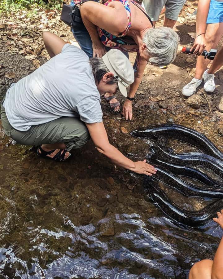 Albert Tours Excursion Safari - Moorea Safari tours&pick up - What $70 gets you, and why the value is more than the sticker price