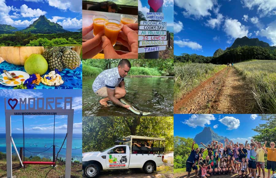 Albert Tours Excursion Safari - Moorea Safari tours&pick up - Cook’s Bay and Opunohu Bay, the views you get on a tight schedule