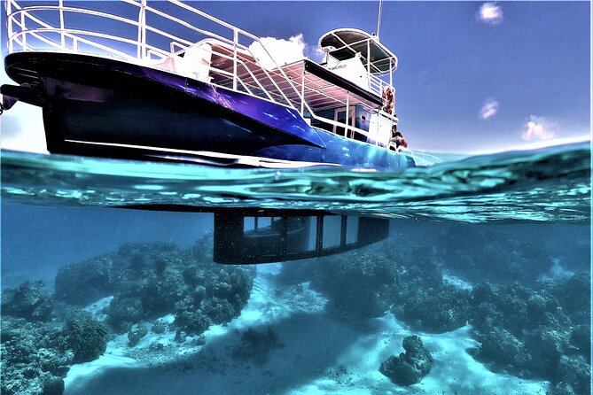 An Immersed Day in Bora Bora with O-sea - Coral Garden Snorkeling and Tropical Fish, With a Respectful Pace