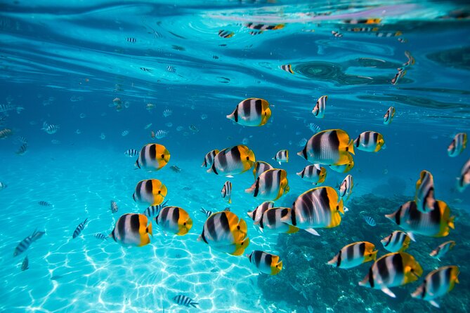 An Immersed Day in Bora Bora with O-sea - Ocean-Side Walk and Bora Bora Legends: Why the Stories Matter