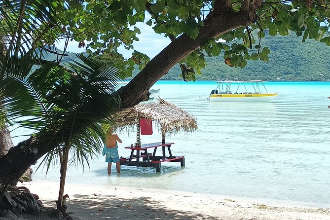 An Immersed Day in Bora Bora with O-sea - Value and Pricing: Is $200 Per Person Worth It?