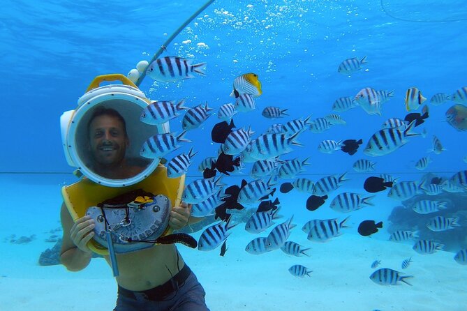 Aqua Safari Introductory Helmet Dive (Underwater Walk) - The 2 to 2.5 Hour Plan, From Pickup to 30 Minutes Underwater