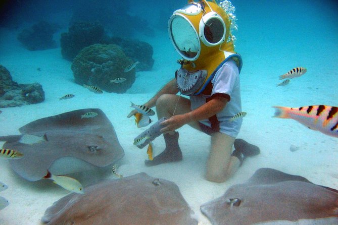 Aquablue Moorea - The Undersea Experience in Moorea Lagoon: Fish, Stingrays, and a Rope for Stability