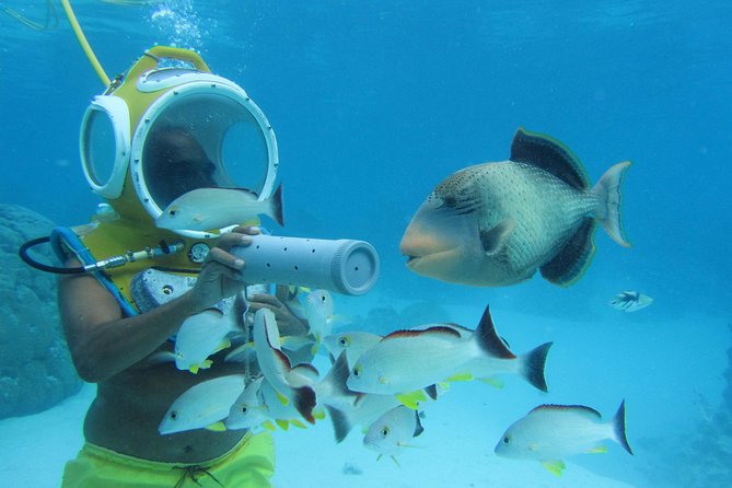 Aquablue Moorea - Photos and Video: Worth It If You Want the Memory Without the Stress