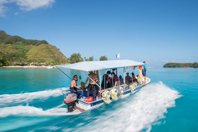 Aquablue Moorea - Price and Value: Why $109.55 Can Make Sense