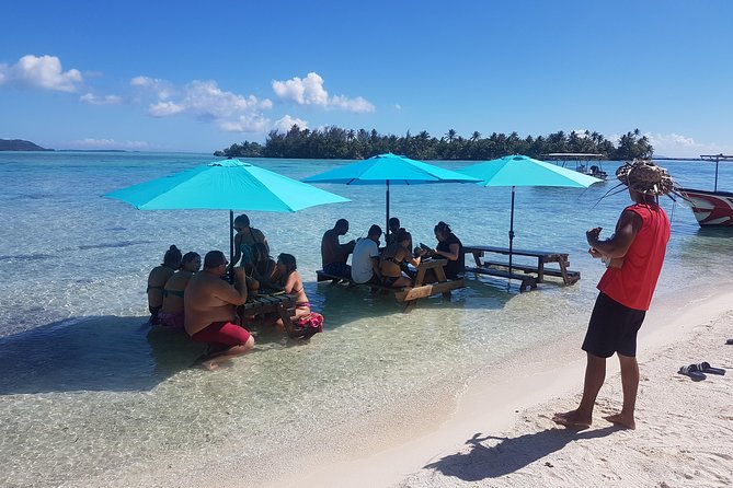 Authentic Polynesian Experience - Lunch on a white-sand Motu, with fish and reef sharks at your feet