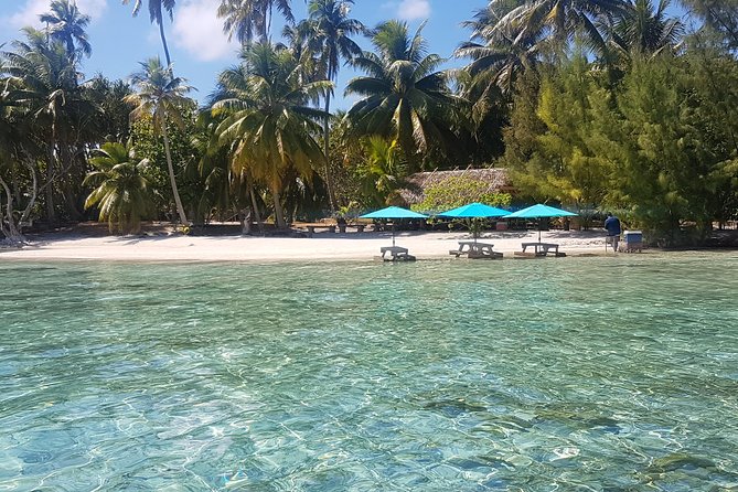 Authentic Polynesian Experience - Your guides and the boat setup, what you can expect in real terms