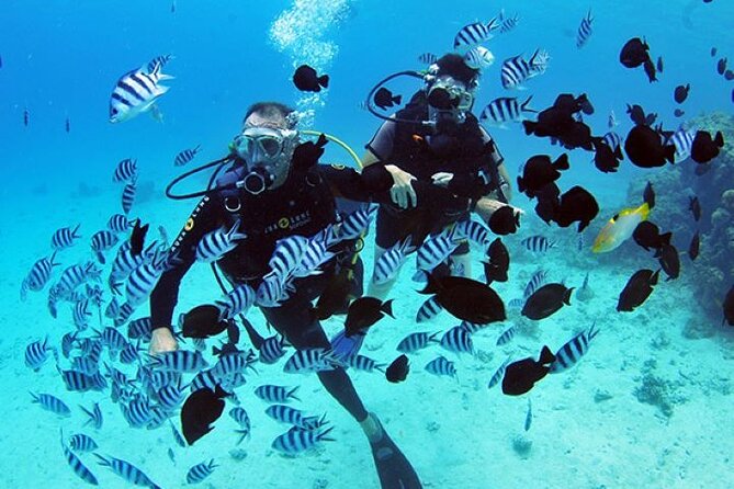 Baptism diving in the turquoise waters of Tahiti - Key things to know before you go