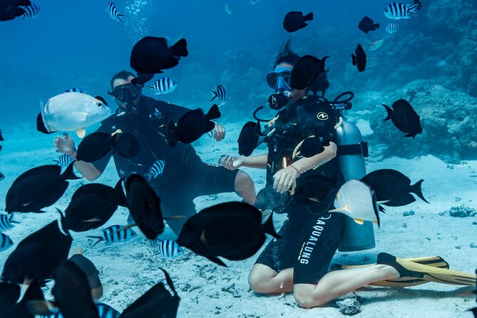 Baptism diving in the turquoise waters of Tahiti - Modern, maintained equipment and the safety habits you can watch for