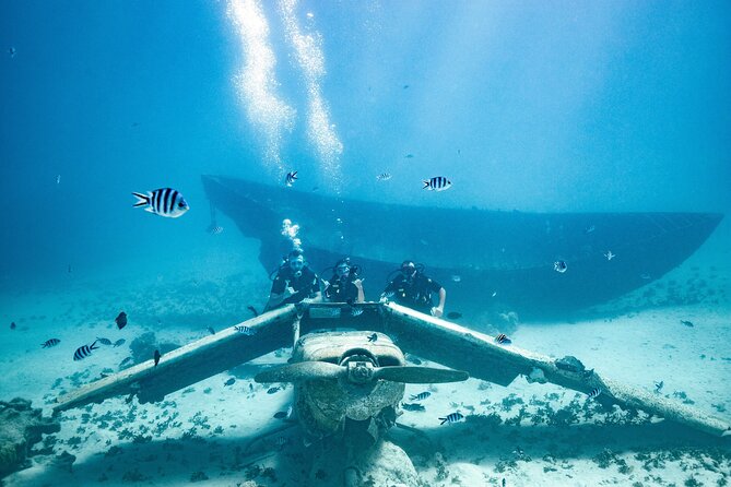 Baptism diving in the turquoise waters of Tahiti - What you’ll actually see: fish, color, and that weightless feeling
